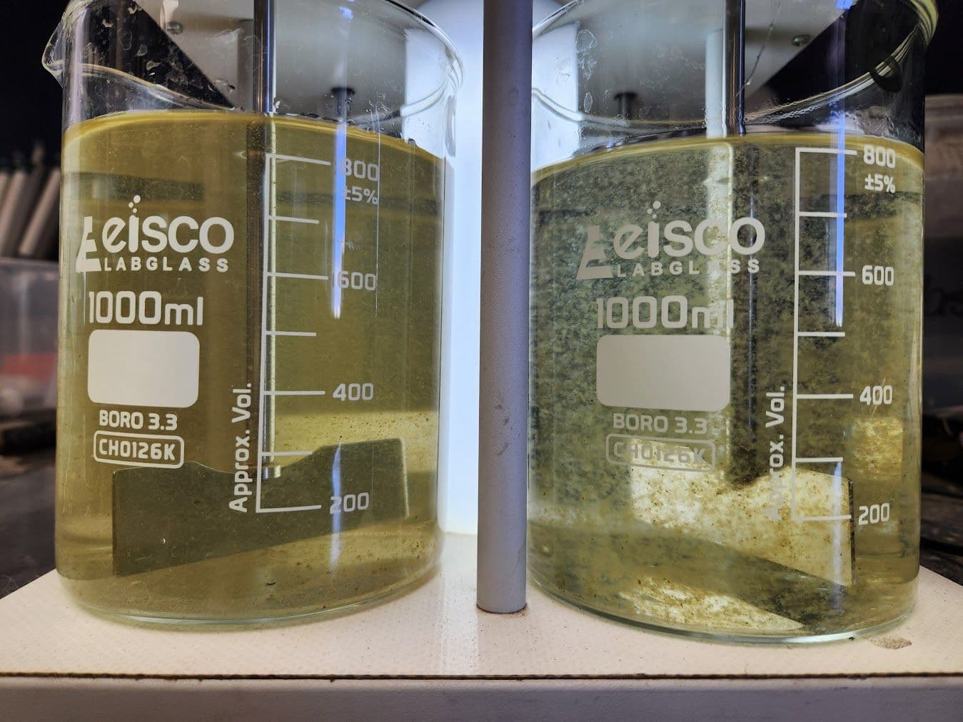 Two glass jars containing samples taken from the site.
