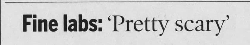 Fine Labs Pretty Scary - The_Hamilton_Spectator